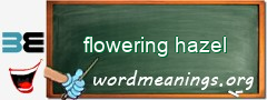 WordMeaning blackboard for flowering hazel